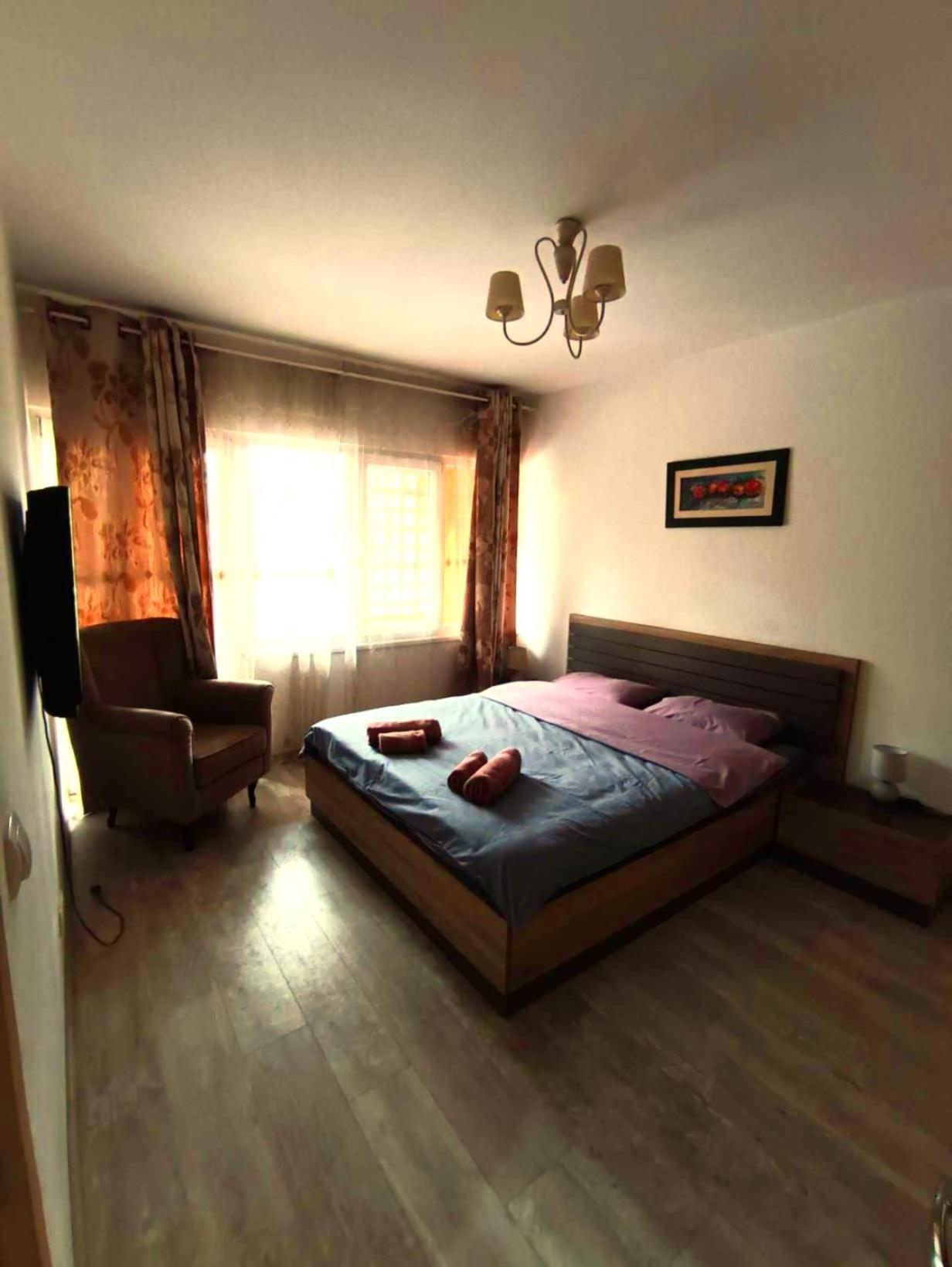 Cosy Flat In The Centre, Near The Bus And Railway Station 公寓 波德戈里察