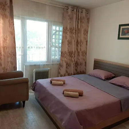 Cosy Flat In The Centre, Near The Bus And Railway Station Apartment Podgorica Exterior photo