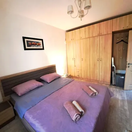 Cosy Flat In The Centre, Near The Bus And Railway Station Apartment Podgorica Exterior photo