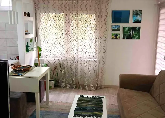Cosy Flat In The Centre, Near The Bus And Railway Station